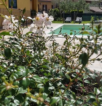 Residenza Cieloterra Guest House Ривоторто Екстериор снимка