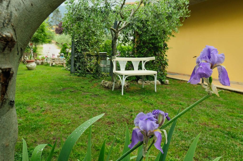 Residenza Cieloterra Guest House Ривоторто Екстериор снимка